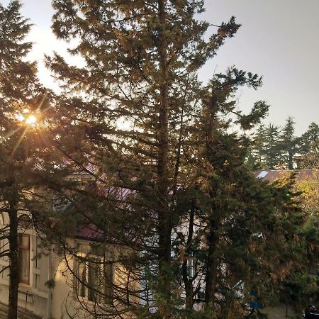 Boulevard Apartment バトゥーミ エクステリア 写真