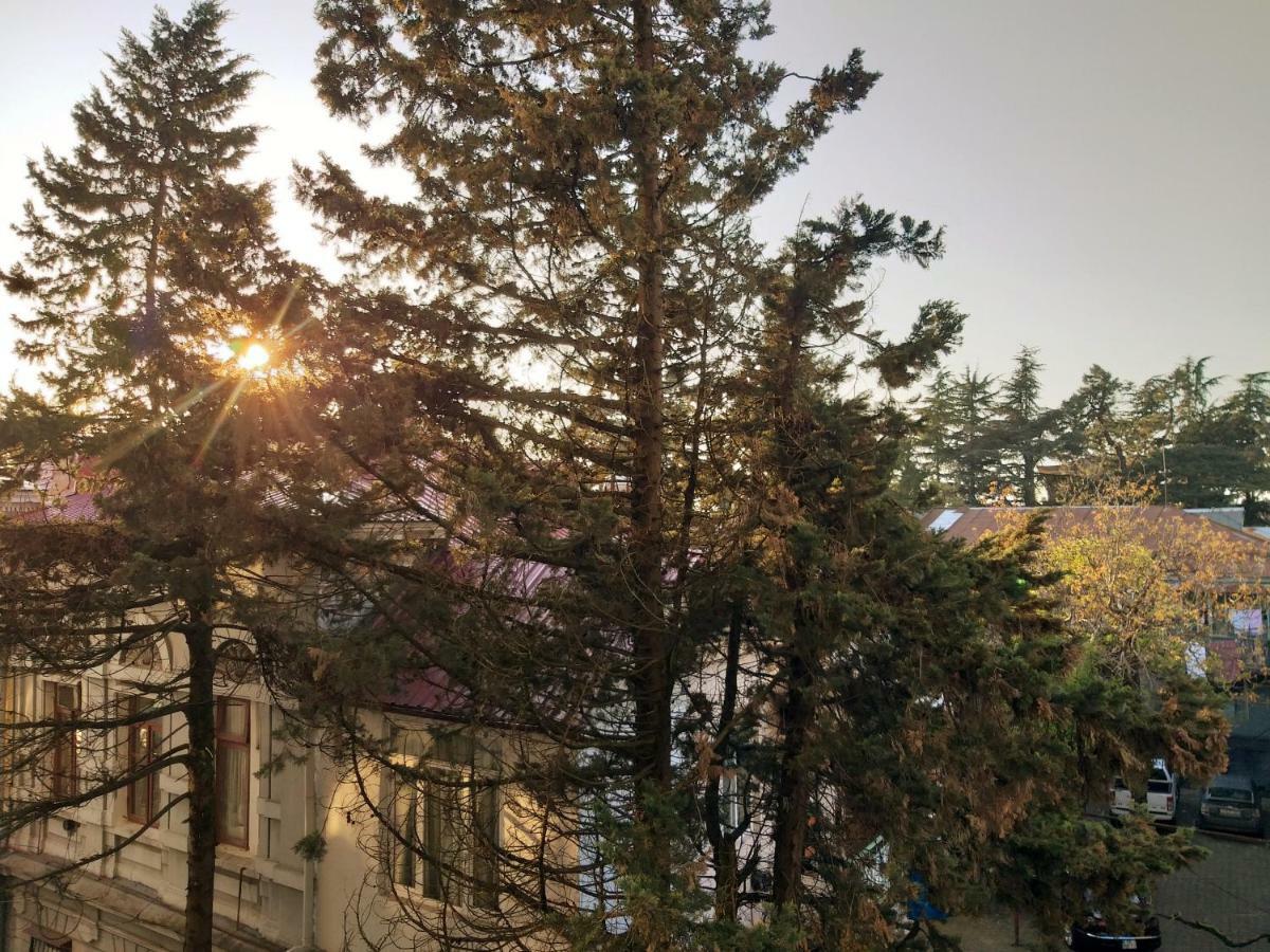 Boulevard Apartment バトゥーミ エクステリア 写真
